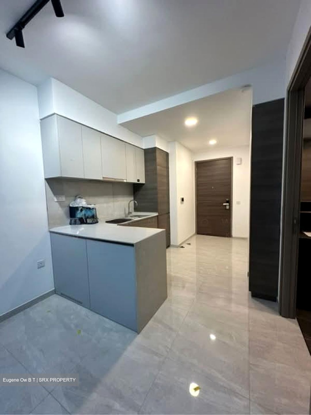 The Florence Residences (D19), Apartment #579880591